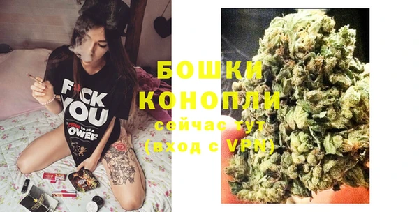 наркотики Бородино