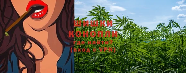 шишки Бронницы