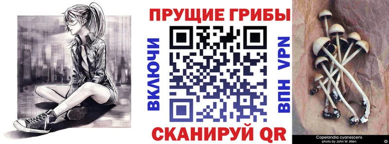 Галлюциногенные грибы Magic Shrooms  Купить закладки  Снежногорск 